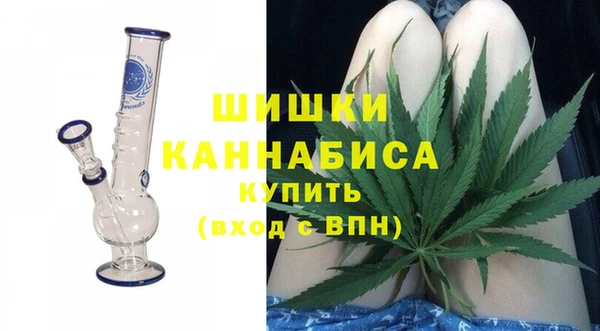 стаф Козловка