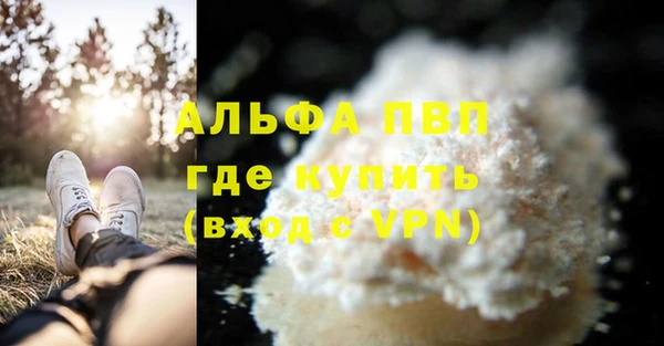 гашик Корсаков