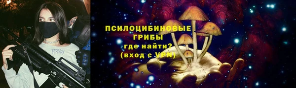 стаф Козловка