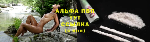 стаф Козловка