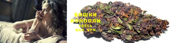 стаф Козловка