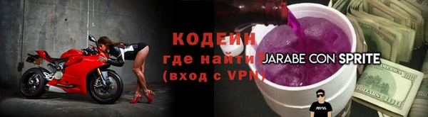 гашик Корсаков