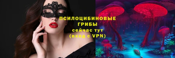 a pvp Кодинск