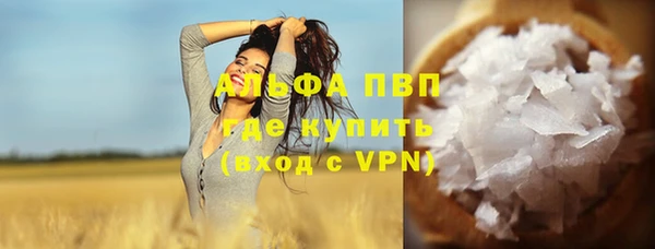 стаф Козловка
