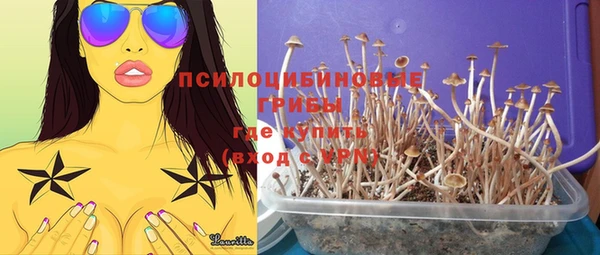 стаф Козловка