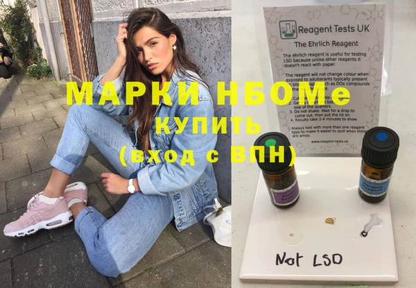 гашик Коряжма