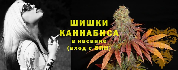 дмт Костерёво