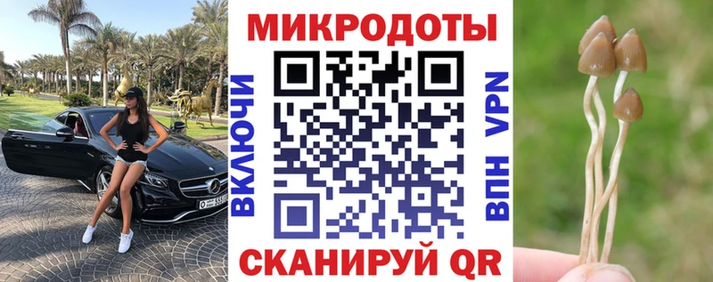 наркошоп  Сыктывкар  ссылка на мегу рабочий сайт  Псилоцибиновые грибы Psilocybe 
